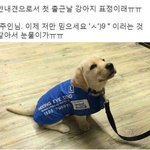 <b>치아</b>교정 ㅅ1발생키지낮 존트아프네