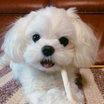 남자애들끼리 <b>내</b>가이쁜지 <b>딴</b>애가 이쁜지 두고 싸운데 조언쫌