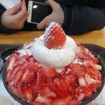 [댓글부탁해] 얘드라 이정도면 <b>샘플</b>많이준거야?