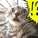 역대급 남녀 합동 콘서트 (귀정화 주의)