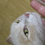 <b>파스텔</b>기다리신분들께