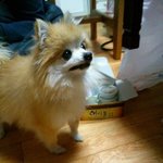 애들아 자기 <b>다리</b> <b>자랑</b>하고가!