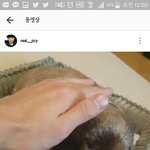 [EXO] 쵸콕 <b>한</b>손크기야 무슨<b>일</b>이래