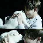 [방탄소년단] 근데 왜 눈물이 날라하니..  ㅠ