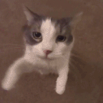 <b>민자</b> 뽀뽀하자