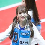 양갈래 머리해씀