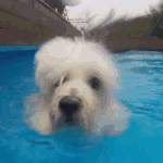 어제자 존예 돋았던 연예반장 권소현.<b>gif</b>