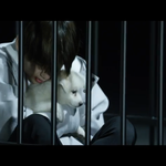 [방탄소년단] 강아지가 뜻하는거 이거야??