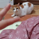 나의 동거남 <b>도칠</b>이 요즘,.