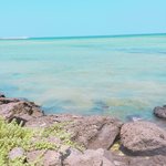 얘들아 스쿨룩스에서 <b>독성</b>물질