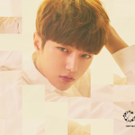 [인피니트] <b>고양이</b> <b>인간</b>같아