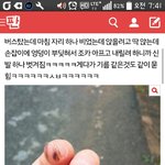 야 내가 이 글 올렸는데 <b>일베</b>냐는 댓글달림 조카 어이없네