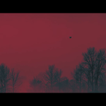 [방탄소년단] 같은 <b>공간</b>?