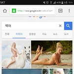 우리<b>나라</b>랑 <b>외국</b> 검색결과차이