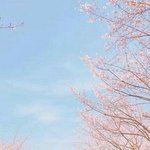 나 방금 <b>보보</b>경심 소설 다 봤는데