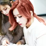 [에이핑크] 판다들은
