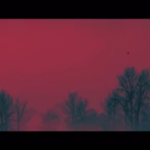 [방탄소년단] 정국이랑 남준이 <b>연관성</b>