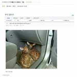 [ㅋㅋㅋㅋㅋ] 우리 <b>학년</b>에 ㅈㄴ잘생긴 애 있다