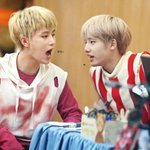 [NCT] 어그로글에