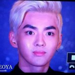 [EXO] [클레] 모리칼을 부비며 떠난 당신