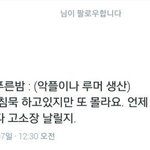이번에 <b>샤이니</b> 진짜 흥할건가보다