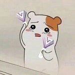 [세븐틴] ㅂㅅㄷ우리<b>지역</b>에셉틴옴...ㅠㅠㅜㅜ