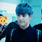 [세븐틴] 퍼포팀 출국!