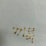 [조언부탁해] <b>인문</b>계랑 실업계중에ㅠㅠ