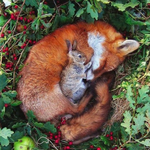 [댓글부탁해] 옷가게에 어울릴만한 노래 추천해주고 가줘!