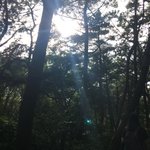 나 언니가 너무 싫어 정말 싫어서 돌아보릴것같아