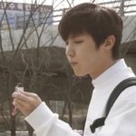 [방탄소년단] 수목원과 <b>초코바</b>