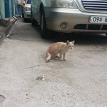 [댓글부탁해] 도움 부탁드립니다