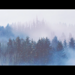 [방탄소년단] 호석이가 <b>방문</b>열면서 나온거 궁예해보자면