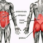 [학생다욧트] <b>플랭크</b> 궁금한거...