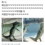 [댓글부탁해] 중고책 살까 새책 살까??