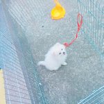 [조언부탁해] 혐혐혐) 나 여드름어쩌냐ㅠㅠ