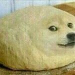 <b>짝녀</b>한테 고백햇는데