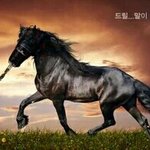 [댓글부탁해] 얘들아 <b>아이</b><b>브로우</b>