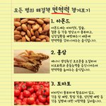 [펌] 모든 병의 <b>해결책</b> 면역력 챙겨보기