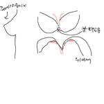 사진)제 브라 사이즈는 도대체 뭘까요...