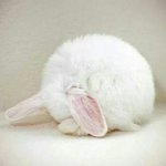 와 근데 <b>지진</b> 일어났었는데
