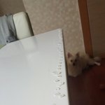 [드루와] 난 <b>여진</b>만 기다린다...