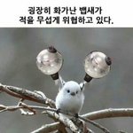 [방탄소년단] 아니 빅히트야