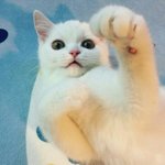 ㅅㅅ하는꿈꿨음