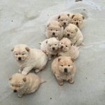 오전수업 기모찌