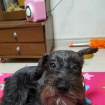 <b>추석</b>잘보내세요