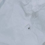 [댓글부탁해] 방금모기새끼<b>사살</b>함
