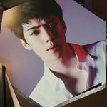 [세훈] 일본 굿즈