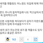 [놀자24] 햄스터키우다가 빡친 <b>디시</b>인 ㅋㅋㅋ - 50