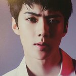 [세훈] 일본 브로슈어 <b>스캔</b>본
